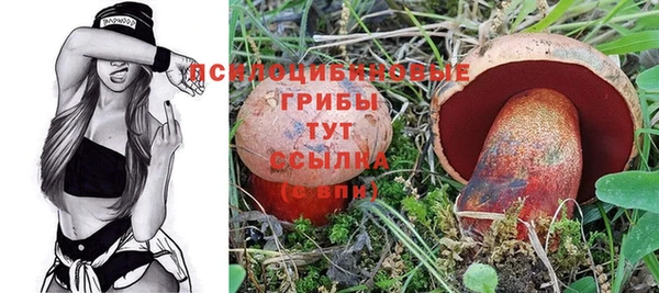 эйфоретик Кулебаки